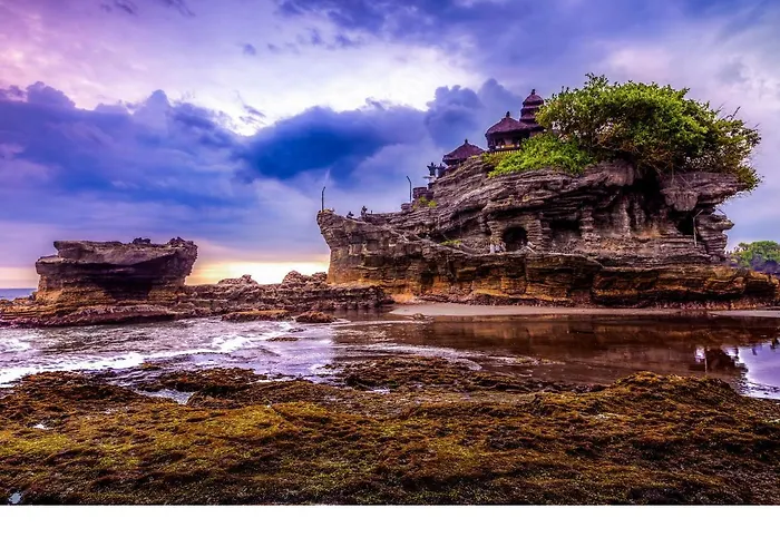 Pulau فيلة تْشانغو