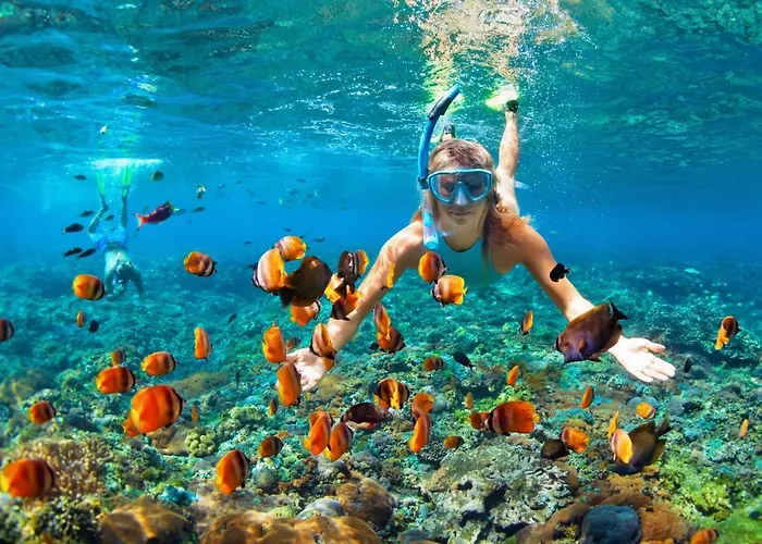 فيلة Pulau تْشانغو